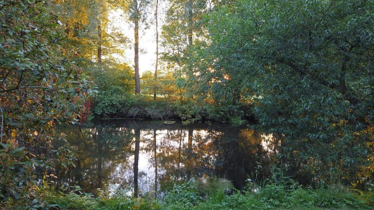 شقة Fewo Lueneburger Heide - Aurelia باد بيفينسون المظهر الخارجي الصورة